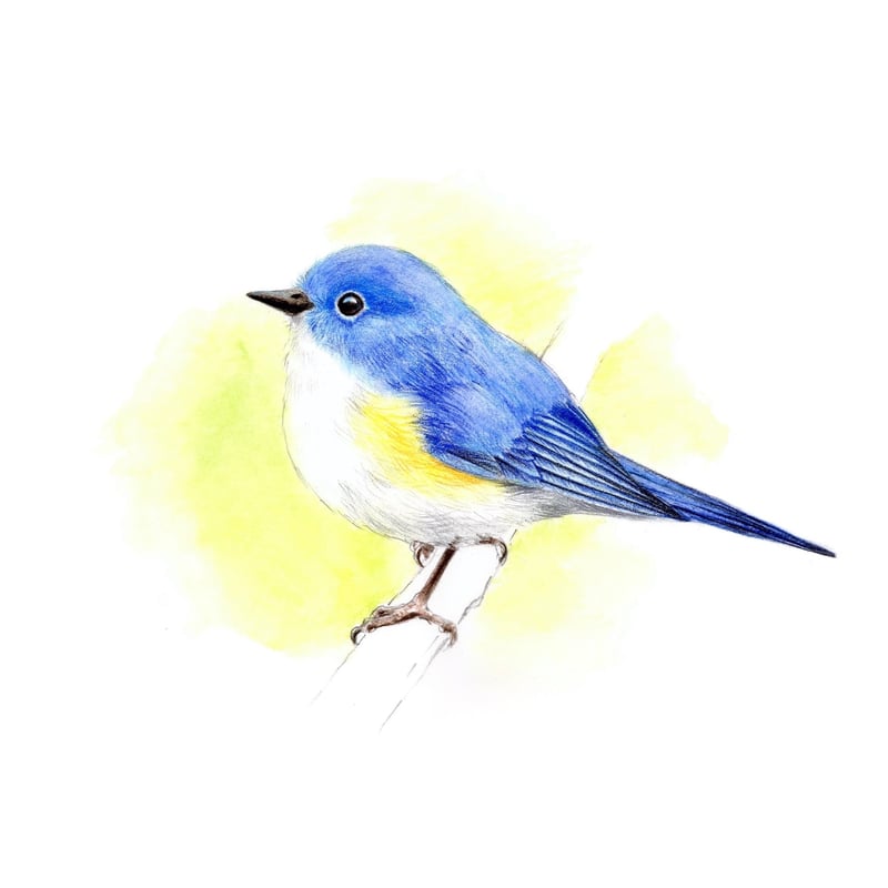 『ウェルカムホーム』 水彩色鉛筆画　エノモト.アマネ作　額 張虎工房 ウェルカムホーム』 水彩色鉛筆画 エノモト.アマネ作 額 張虎工房