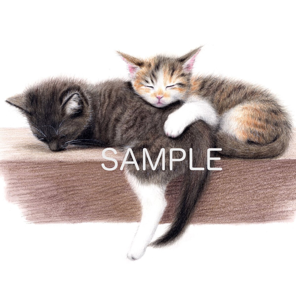 仔猫【色見本】水彩色鉛筆画 | 絵のデータ販売 @水彩色鉛筆