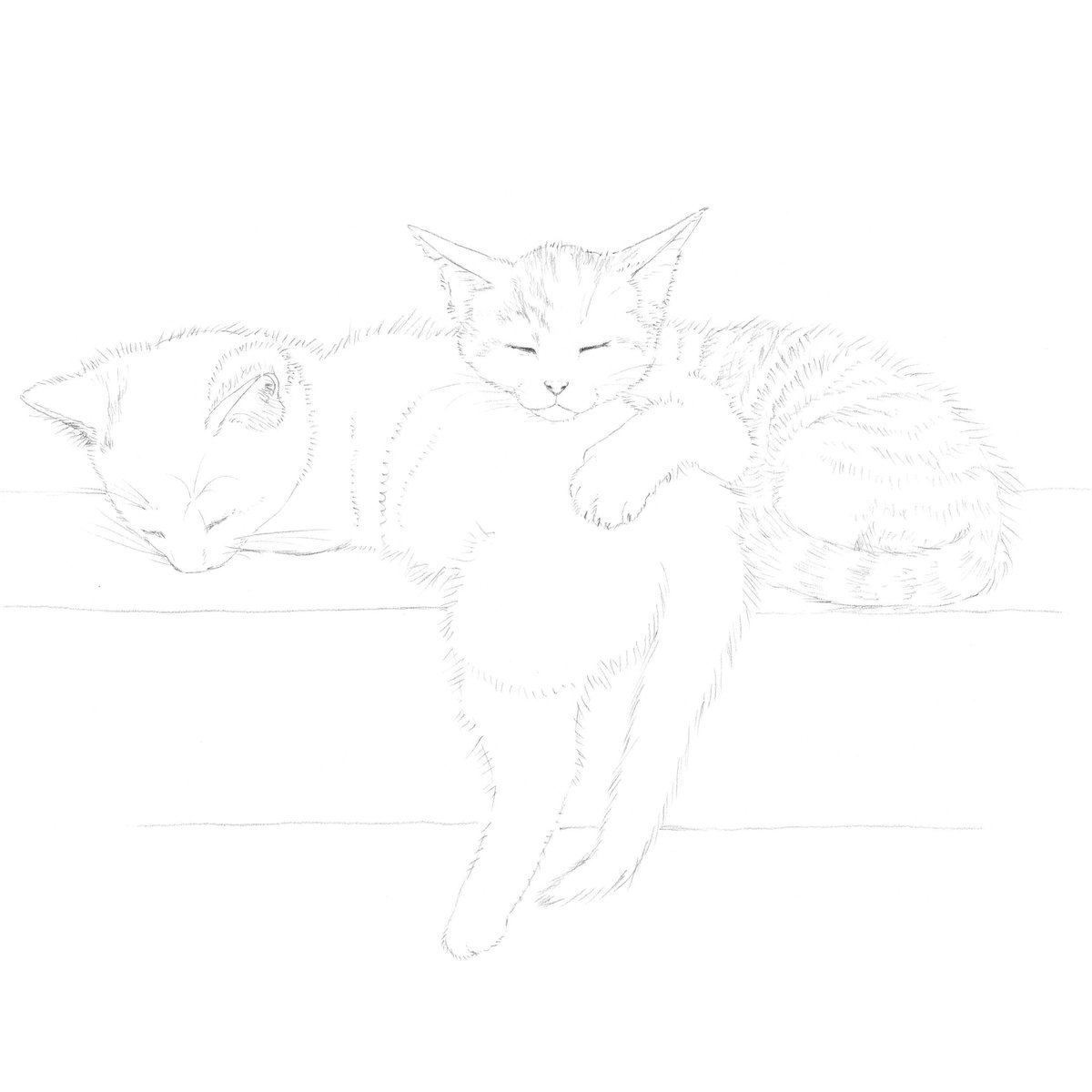 色鉛筆画 A4.仔猫2 色鉛筆画 A4.仔猫2 色鉛筆画 A4.仔猫2