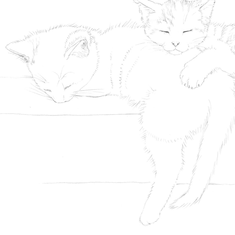 仔猫【下絵】 | 絵のデータ販売 @水彩色鉛筆チャンネル