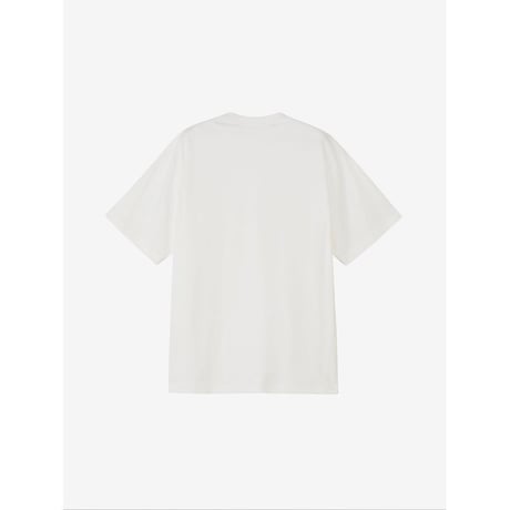 THE NORTH FACE ショートスリーブフラッシュドライフラワーロゴティー（メンズ）