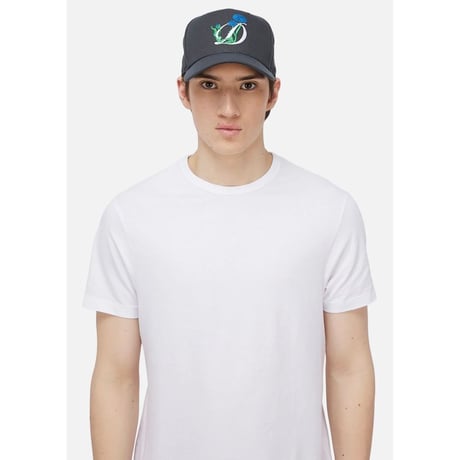Dime Plein Air New Era Cap