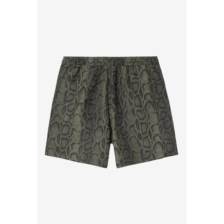 CARHARTT WIP Slater Swim Trunks