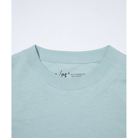 F/CE. RE SILICON CORPORATE L/S T
