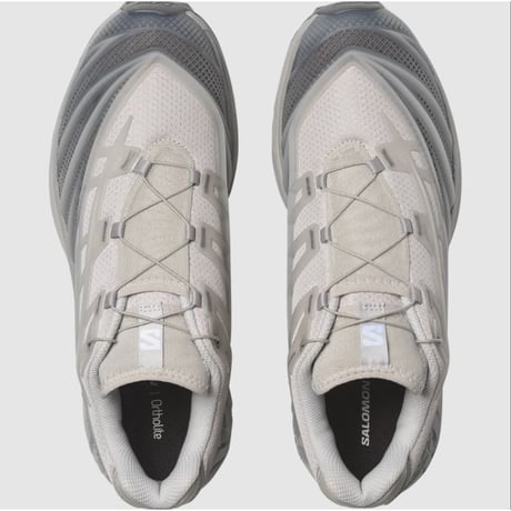 SALOMON XT-EVO (Alloy / Castlerock / Ftw Silver)
