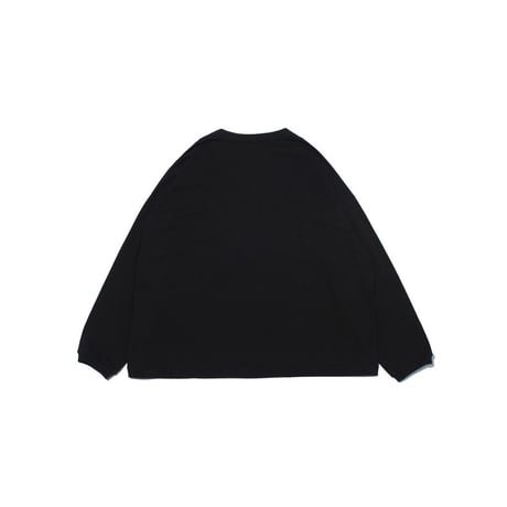 F/CE. RE SILICON CORPORATE L/S T