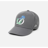 Dime Plein Air New Era Cap