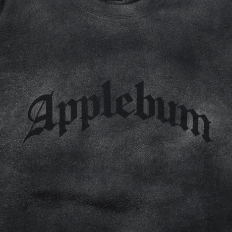 APPLEBUM AIRBRUSH CREW SWEAT / 2420404