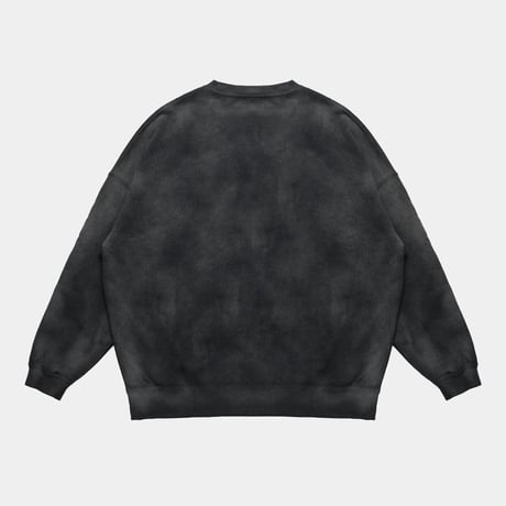 APPLEBUM AIRBRUSH CREW SWEAT / 2420404