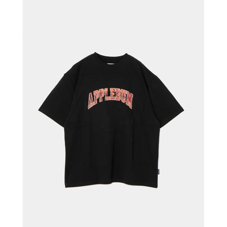 APPLEBUM Vintage logo T-shirt HS2611104