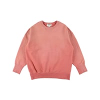 BOW WOW FADED DOUBLE V SWEATSHIRT