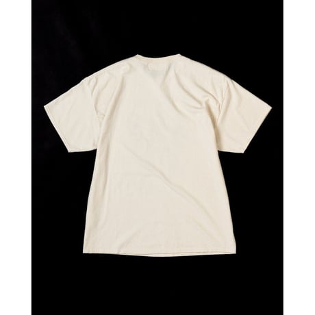 ANACHRONORM  AN305 WASHINGTON PRINT S/S T-S