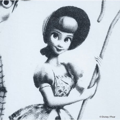 VARIEGATOR Woody Pride & Bo Peep /Tee