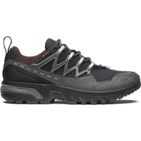 SALOMON ACS+ GORE-TEX(Black / Castlerock / Rum Raisin)
