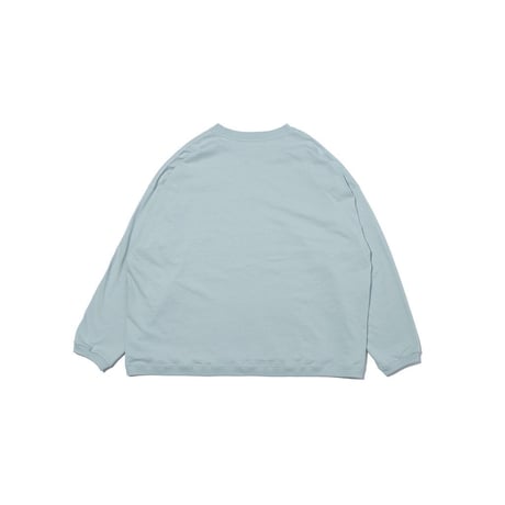 F/CE. RE SILICON CORPORATE L/S T