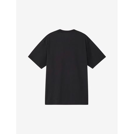 THE NORTH FACE ショートスリーブフラッシュドライフラワーロゴティー（メンズ）