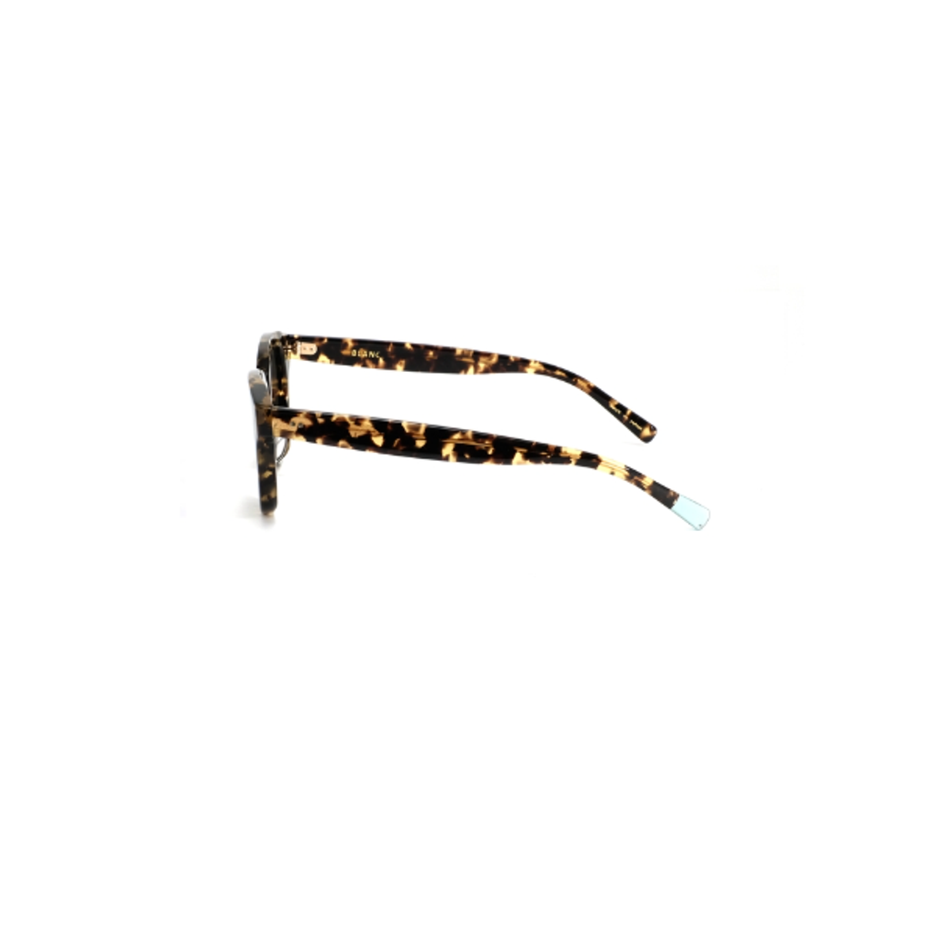 美品】 BLANC.. BE008 注い HAVANA 度無し 付属品オールセット