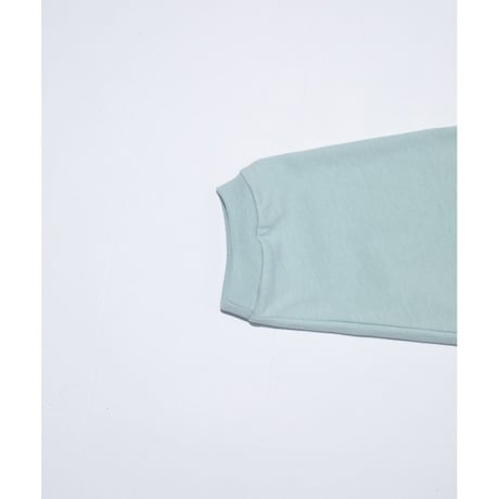 F/CE. RE SILICON CORPORATE L/S T