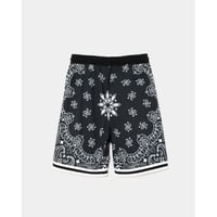 APPLEBUM “PAISLEY” HOOPERS SHORTS / 2610813