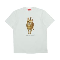 BOKU HA TANOSII Science Photo Tee / HOUSE CAT
