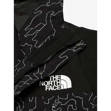 THE NORTH FACE NOVELTY MOUNTAIN LIGHT JACKET