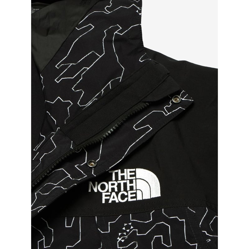 THE NORTH FACE NOVELTY MOUNTAIN LIGHT JACKET |