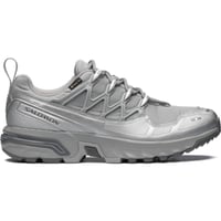 SALOMON ACS+ GORE-TEX(Alloy / Castlerock / Ftw Silver)