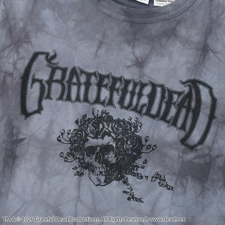 Champion ティーテンイレブン ショートスリーブTシャツ スタイル：C5-D308