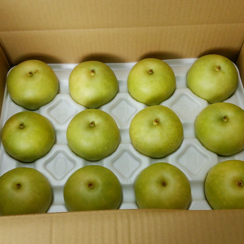 贈答用 梨【5kg箱】(9~14個入り) | やまがた農園オンラインストア