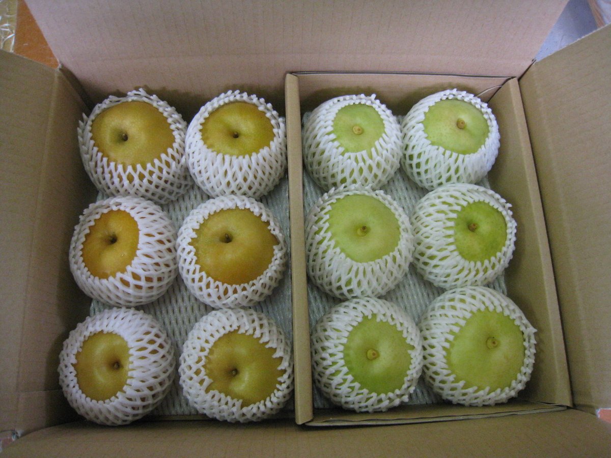 贈答用 梨【5kg箱】(9~14個入り)
