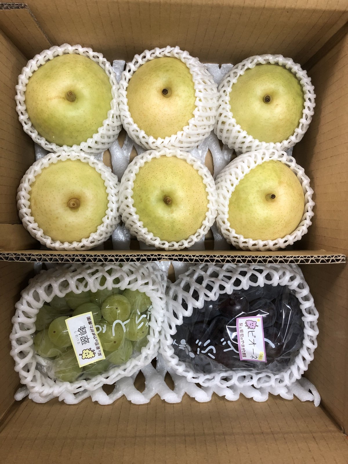 梨ぶどうセット【C】(梨5~6個+ぶどう2房入り) | やまがた農園