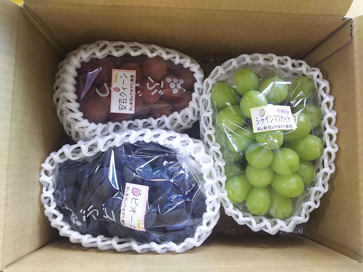 大粒葡萄切り落とし７種　2キロ　×2箱 大粒ぶどう詰合せ2kg（シャインマスカット入他品種問わず）