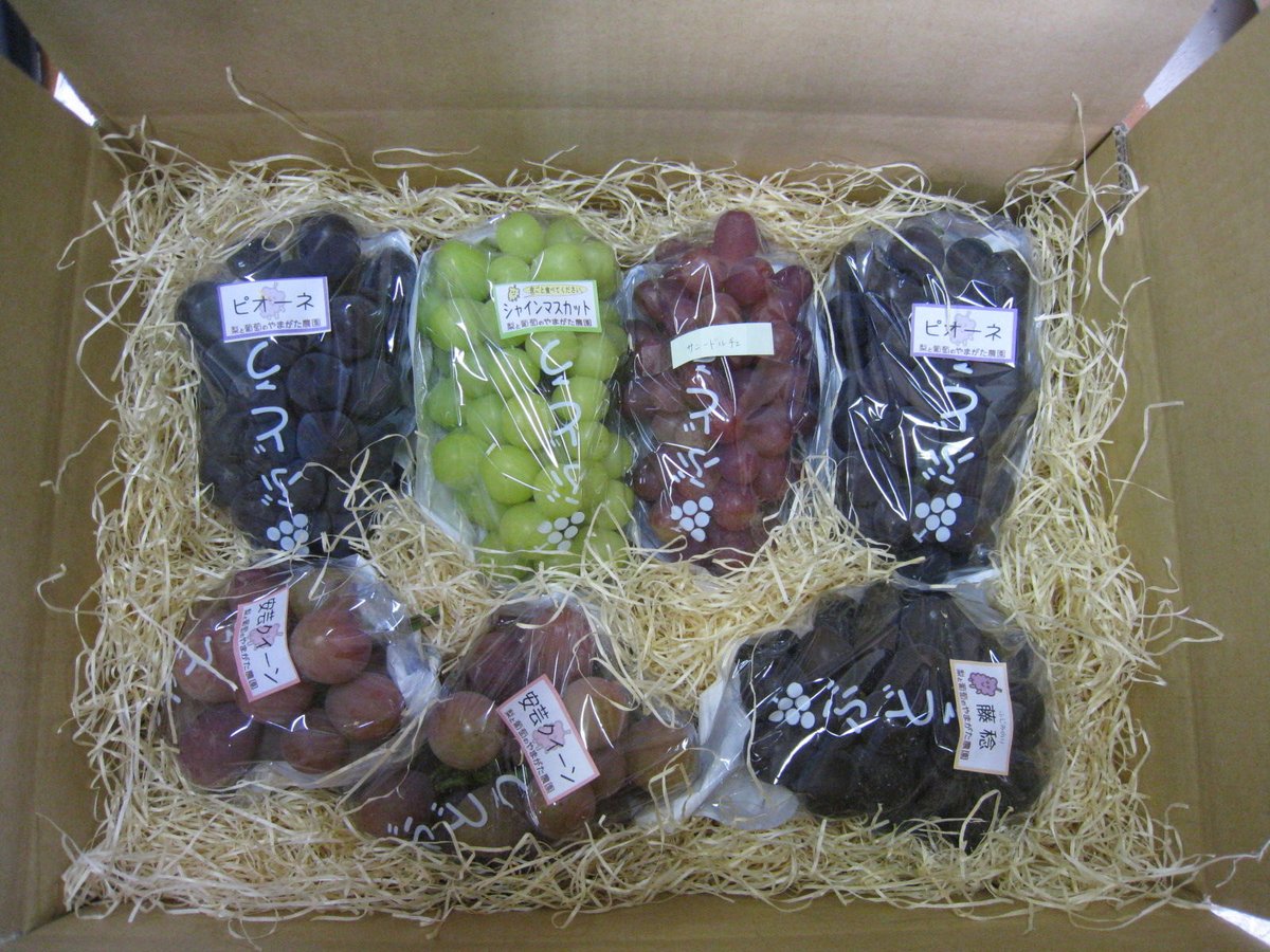 おまかせ露地ぶどう【4kg箱】(6~8房入り)ｼｬｲﾝﾏｽｶｯﾄ1房入り | やまがた