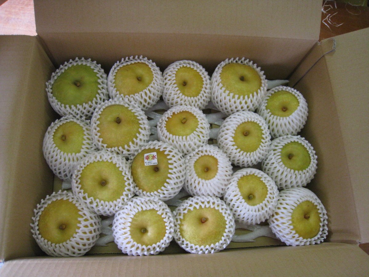 ハム様確認用 ハム様確認用ページ しらとむ様確認用ページ はむ