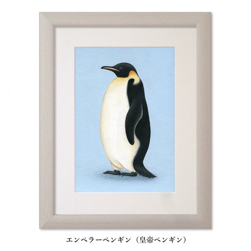 ペンギン原画3種類（マット+額付き）画家：浅羽容子 | 心しか泊まれ