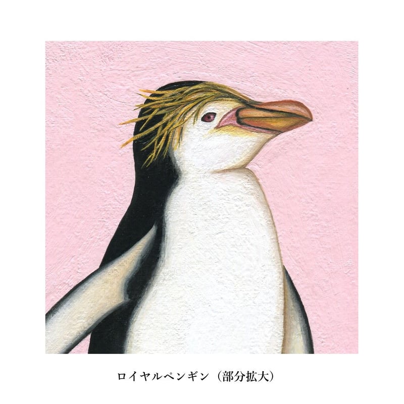 ペンギン原画3種類（マット付き）画家：浅羽容子 | 心しか泊まれない
