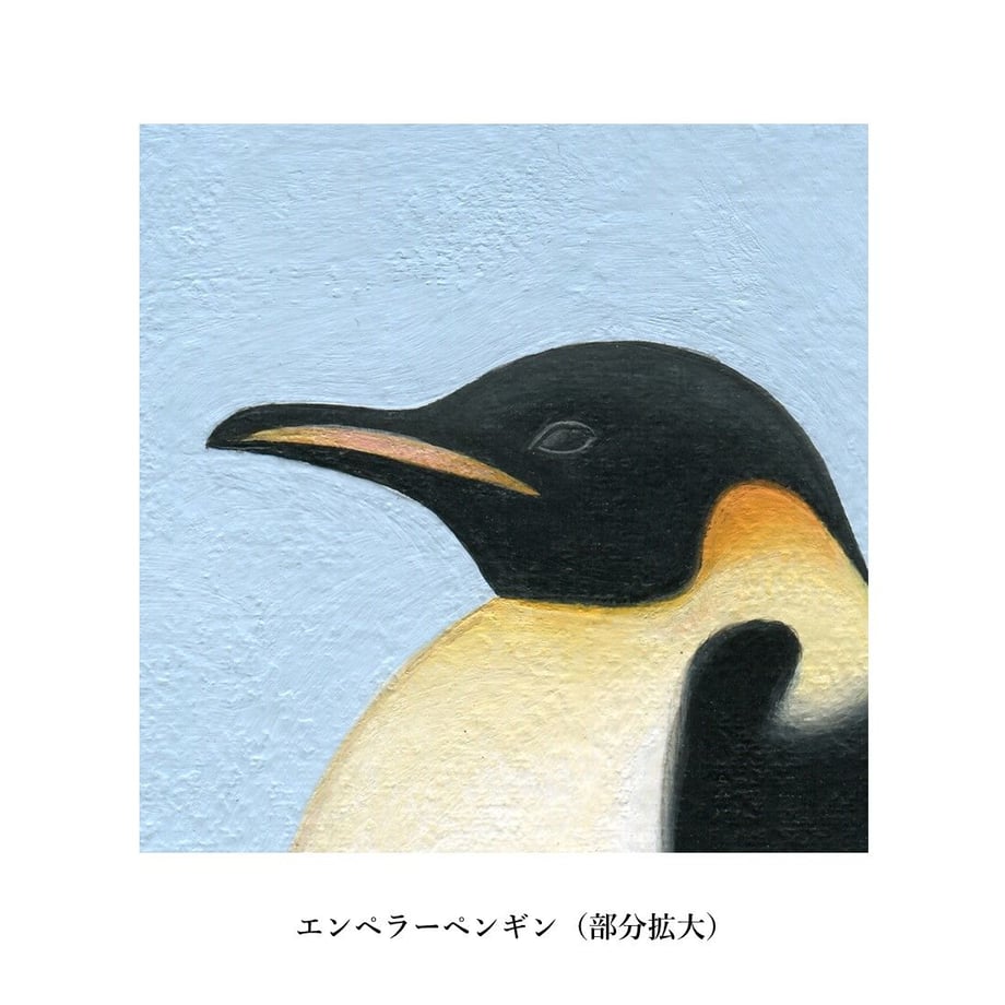 5e3017ce94cf7b31f5d8ada7