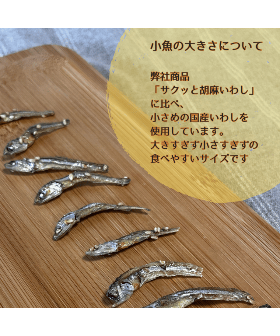 6645a94c10fe39110d44513f