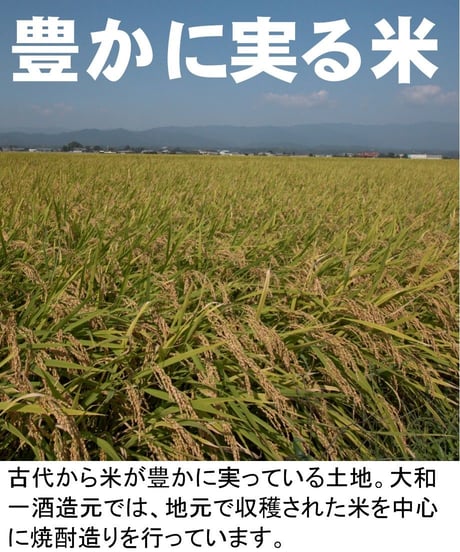 温泉焼酎夢　減圧25度　1800㎖
