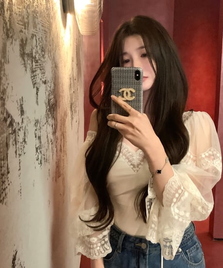 Lace Embroidery Chiffon Blouse