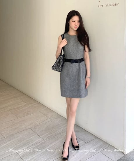 Shining Wool Dress