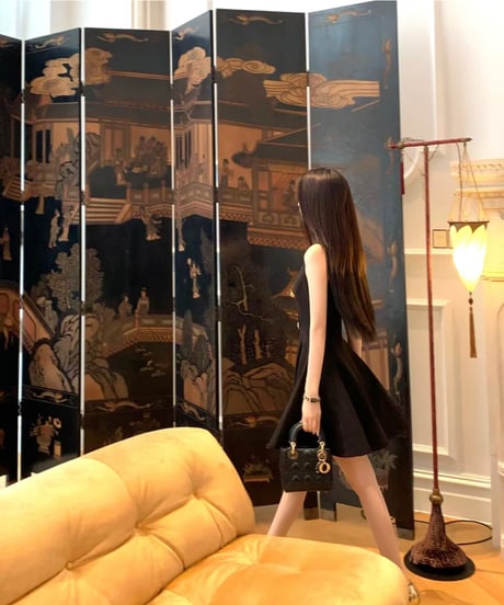 Elegant Dress OP