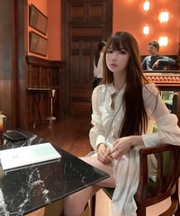 Sheer Irregular Hem Shirt