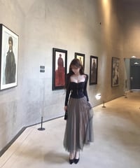 Elegant Mesh Pleate Long Skirt