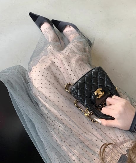 Elegant Mesh Pleate Long Skirt
