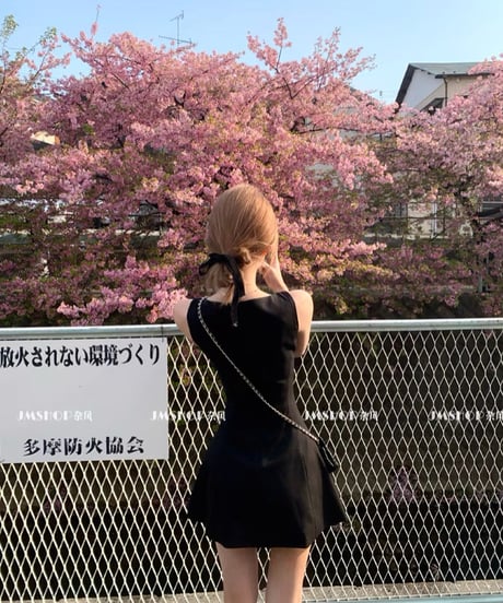 Elegant Sleeveless Dress