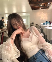 Lace Embroidery Chiffon Blouse