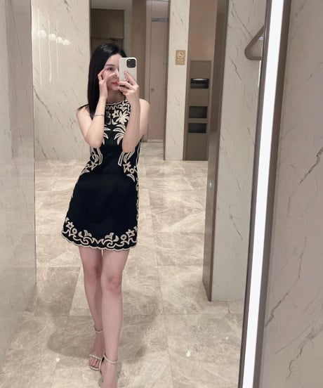 Luxury Embroidery Dress OP
