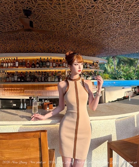 French Classic Knit Dress