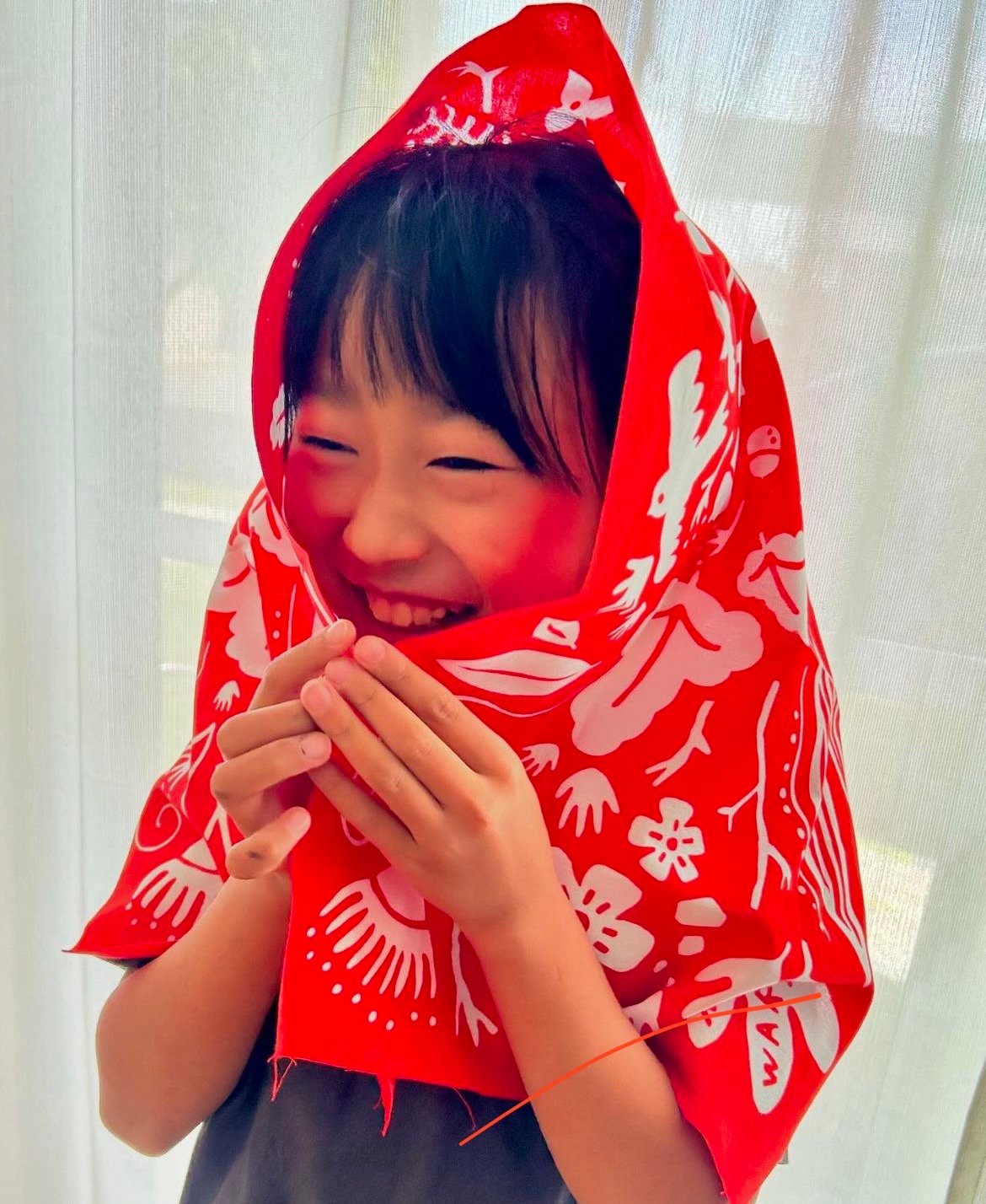 手ぬぐい*15 imgrc0066682622.jpg